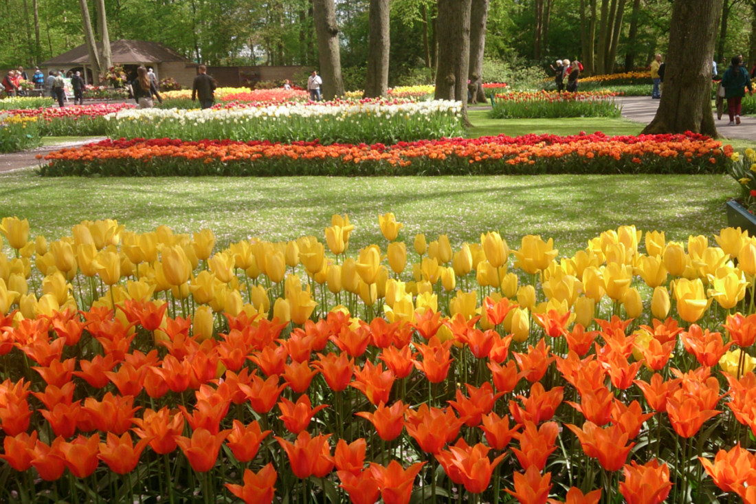 Excursies naar musea, paleizen, kastelen in Nederland